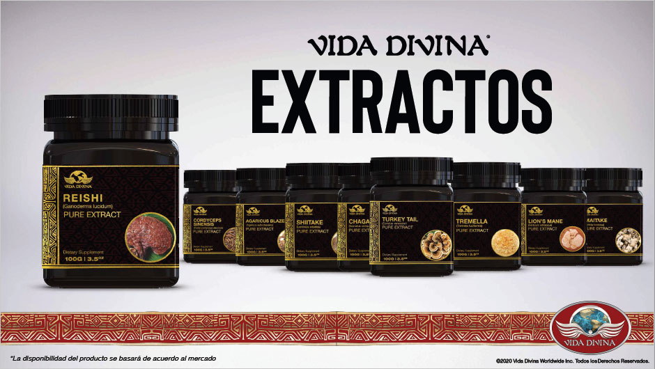 Presentacion-Vida-Divina-15