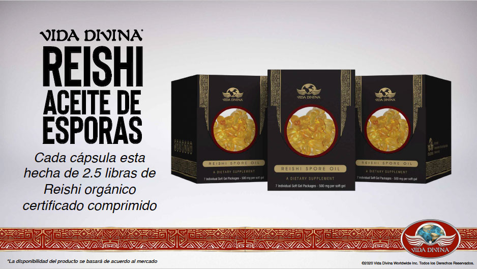 Presentacion-Vida-Divina-16