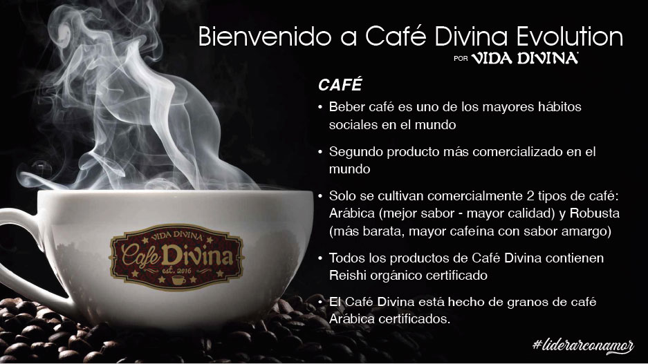 Presentacion-Vida-Divina-17