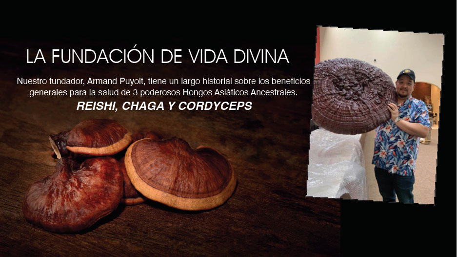 Presentacion-Vida-Divina-8