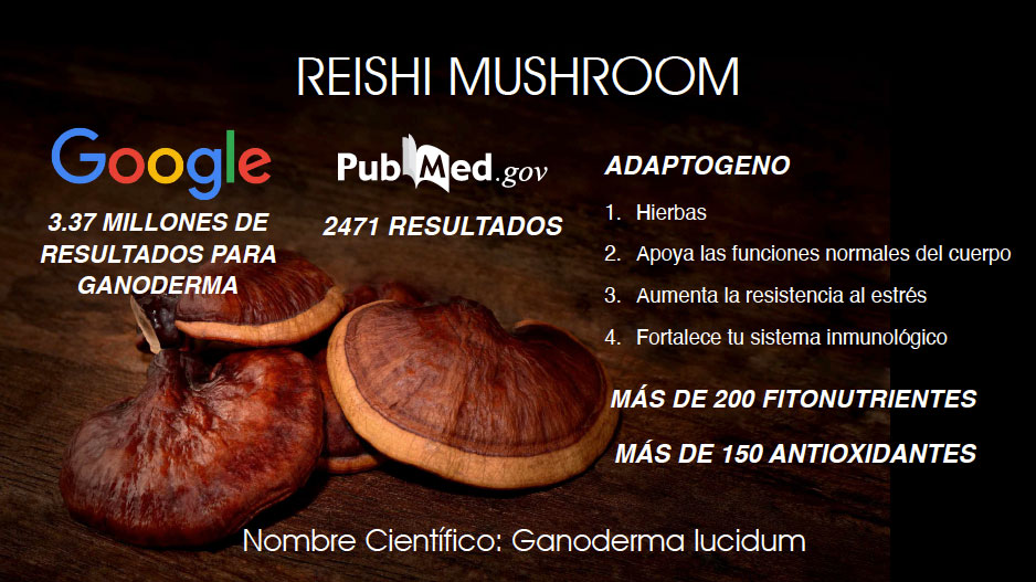 Presentacion-Vida-Divina-9