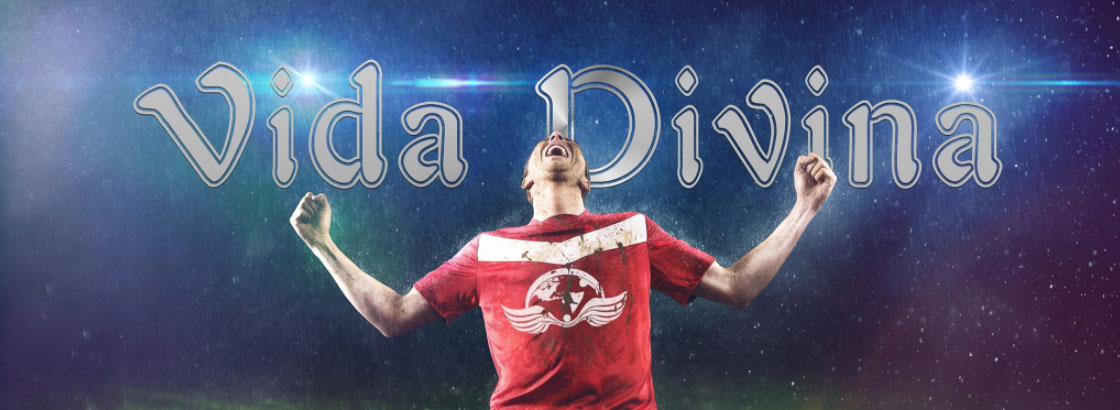 Header - encabezado - Al éxito y la libertad financiera con el plan de compensación de Vida Divina