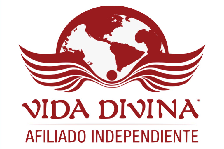 Vida Divina - logo - Saul Tepizila